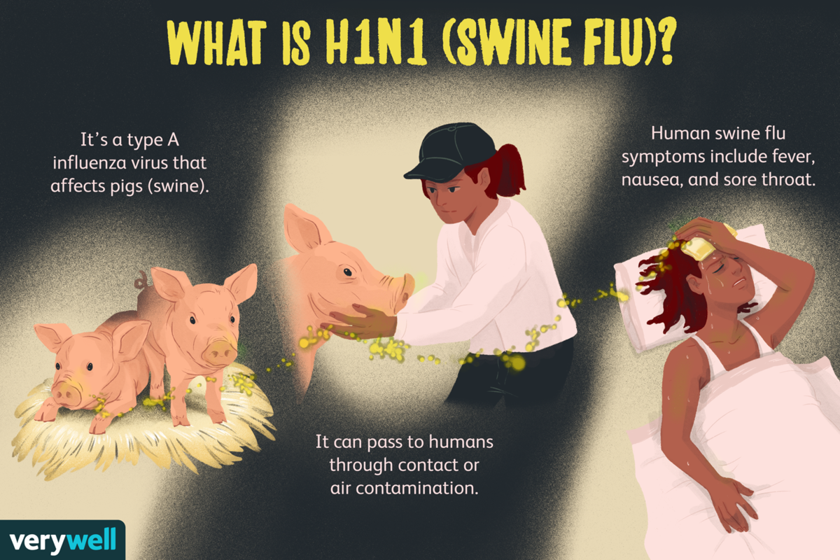 Flu swine wikispooks verywell antal