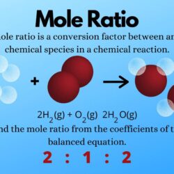 Mole measurement